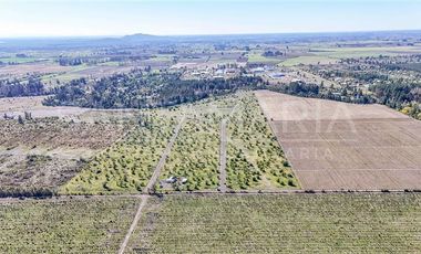 Parcela en Venta en Camino a Cerro Colorado, Los Ángeles