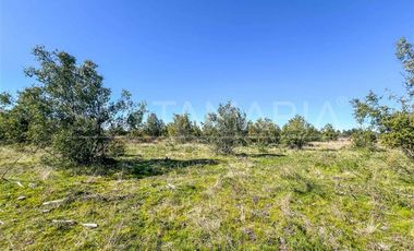 Parcela en Venta en Camino a Cerro Colorado, Los Ángeles