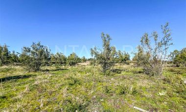 Parcela en Venta en Camino a Cerro Colorado, Los Ángeles
