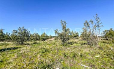 Parcela en Venta en Camino a Cerro Colorado, Los Ángeles