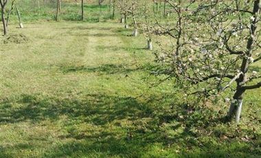 Parcela en Venta en GRANEROS