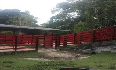 FINCA GANADERA