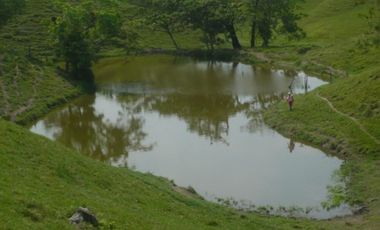 FINCA GANADERA