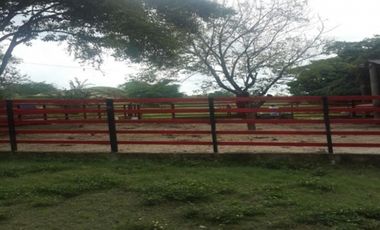 FINCA GANADERA