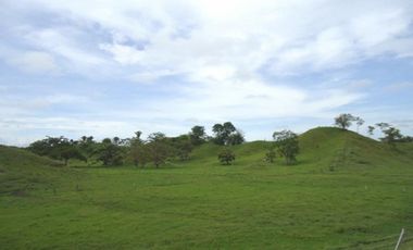 FINCA GANADERA