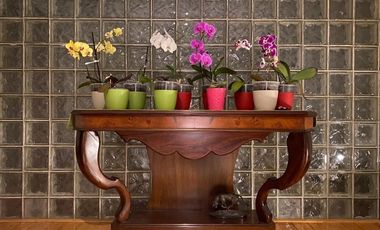 Casa en venta en Fuentes del Pedregal