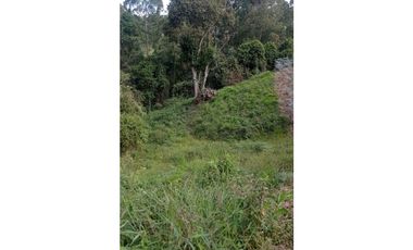 Venta finca Anolaima