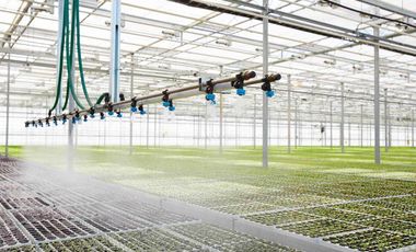 Venta Rancho para Cultivo en Invernadero, Morelos