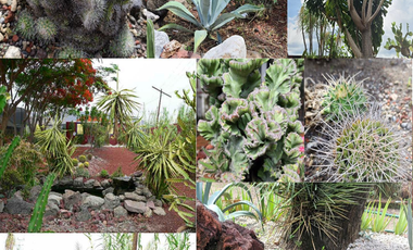 Venta Rancho para Cultivo en Invernadero, Morelos