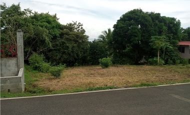 VENTA DE TERRENO EN EL VALLE DE CERRO AZUL cv