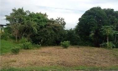 VENTA DE TERRENO EN EL VALLE DE CERRO AZUL cv