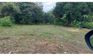 VENTA DE TERRENO EN EL VALLE DE CERRO AZUL cv