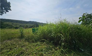 Se vende finca comercial de 5 HAS en Penonomé, Vía Ciruelito