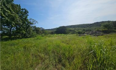 Se vende finca comercial de 5 HAS en Penonomé, Vía Ciruelito
