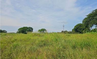 Se vende finca comercial de 5 HAS en Penonomé, Vía Ciruelito