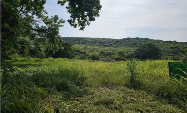 Se vende finca comercial de 5 HAS en Penonomé, Vía Ciruelito