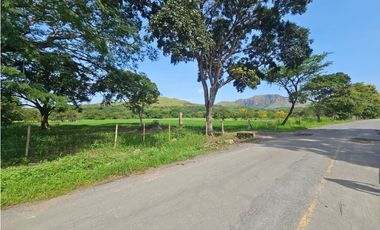 Se vende finca comercial de 5 HAS en Penonomé, Vía Ciruelito