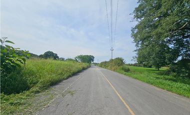 Se vende finca comercial de 5 HAS en Penonomé, Vía Ciruelito