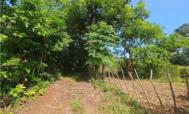 Se vende finca de 30 hectáreas en Penonomé, Vía Ciruelito