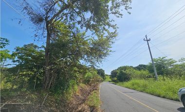 Se vende finca de 30 hectáreas en Penonomé, Vía Ciruelito