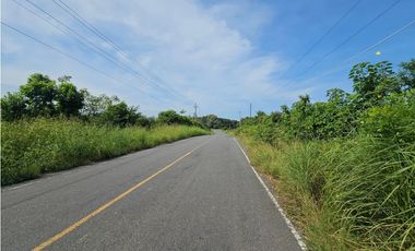 Se vende finca de 30 hectáreas en Penonomé, Vía Ciruelito