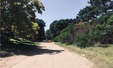 GRAN ESQUINA EN ZONA NORTE  (ILIADA Y TROYA)
