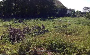 Land for sale in Ban Du, Chiang Rai