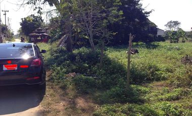 Land for sale in Ban Du, Chiang Rai