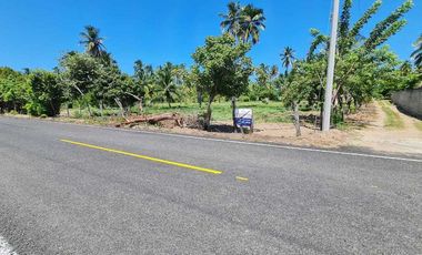 TERRENO EN VENTA, PLAYA PICO DE ORO, LA SABANA, TABASCO