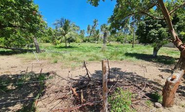 TERRENO EN VENTA, PLAYA PICO DE ORO, LA SABANA, TABASCO