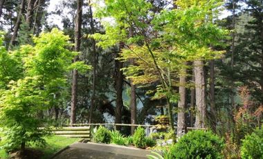 Departamento con vista a la Laguna en Península de Andalué