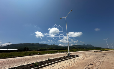 TERRENO FRENTE A LAGO DE CHAPALA EN TUXCUECA, JALISCO