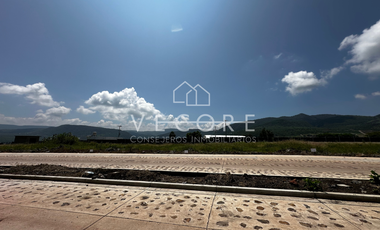 TERRENO FRENTE A LAGO DE CHAPALA EN TUXCUECA, JALISCO
