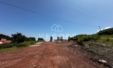 TERRENO FRENTE A LAGO DE CHAPALA EN TUXCUECA, JALISCO