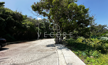 TERRENO FRENTE A LAGO DE CHAPALA EN TUXCUECA, JALISCO