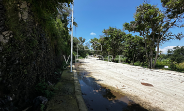 TERRENO FRENTE A LAGO DE CHAPALA EN TUXCUECA, JALISCO