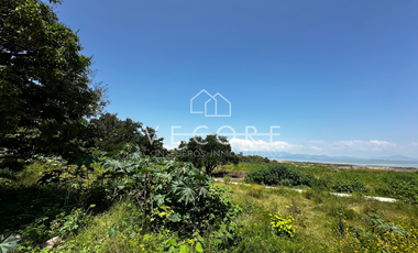 TERRENO FRENTE A LAGO DE CHAPALA EN TUXCUECA, JALISCO