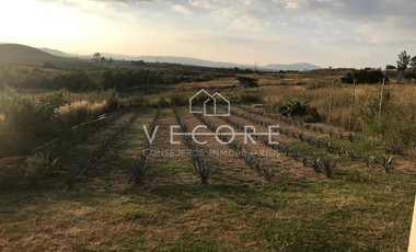 CASA EN VENTA EN HACIENDA LA HERRADURA, ZAPOPAN