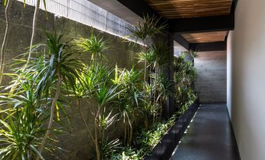 DEPARTAMENTO EN VENTA EN LOMAS DE TECAMACHALCO