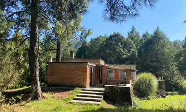VENTA CASA, 52440 San Pedro, MALINALCO, Estado de México, EdoMx