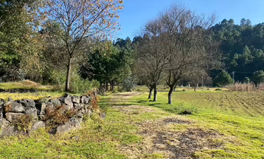 VENTA CASA, 52440 San Pedro, MALINALCO, Estado de México, EdoMx