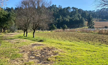 VENTA CASA, 52440 San Pedro, MALINALCO, Estado de México, EdoMx
