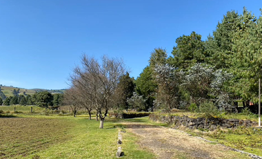 VENTA CASA, 52440 San Pedro, MALINALCO, Estado de México, EdoMx