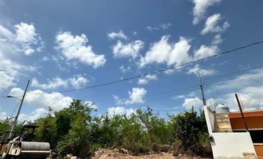 TERRENO EN RENTA EN MÉRIDA YUCATÁN EN CONKAL