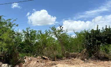TERRENO EN RENTA EN MÉRIDA YUCATÁN EN CONKAL