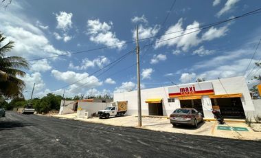 TERRENO EN RENTA EN MÉRIDA YUCATÁN EN CONKAL