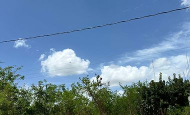 TERRENO EN RENTA EN MÉRIDA YUCATÁN EN CONKAL