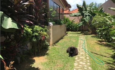 ALQUILO CASA REMODELADA EN PH VERSALLES -(4)