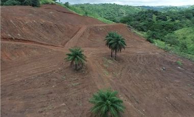 Se vende finca de 5 has con proyecto completo en Pedasí