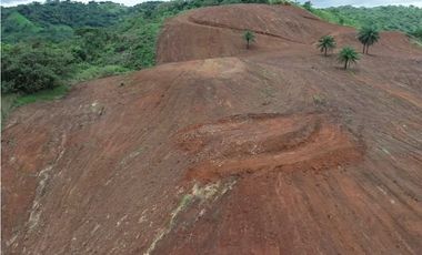 Se vende finca de 5 has con proyecto completo en Pedasí